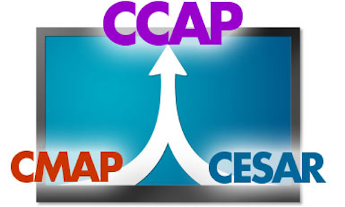 Content Dam Btr Migrated 2011 06 Ccap Merge