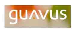 Guavus aims to cut network &apos;alarm noise&apos;