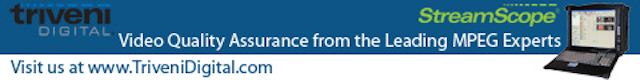 101028 Triveni Banner Ad