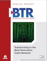Bt Rontopicarris0319